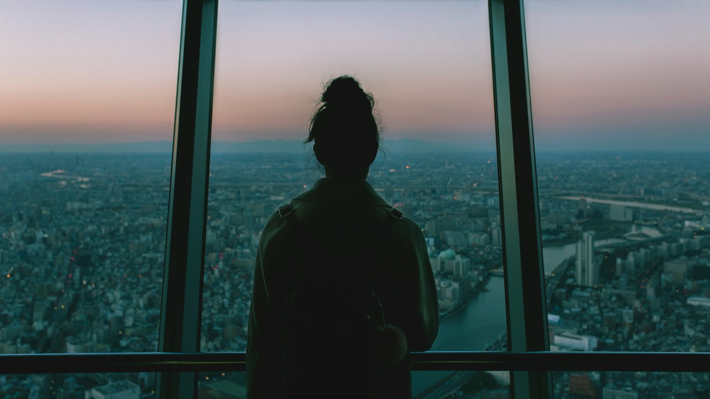 Person standing by windows looking out at a city skyline.